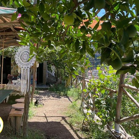 Отель Cetara Camping Amalfitan Coast Экстерьер фото